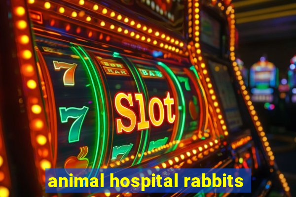 animal hospital rabbits